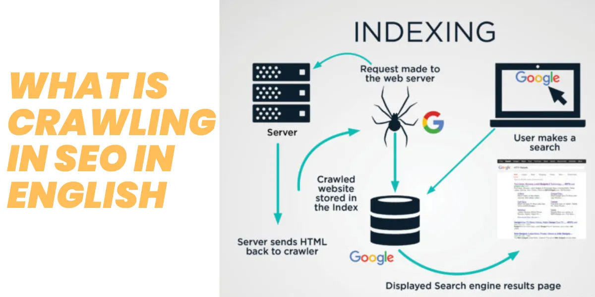 what is crawling in seo in english