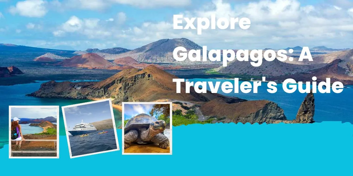 Explore Galapagos: A Traveler’s Guide